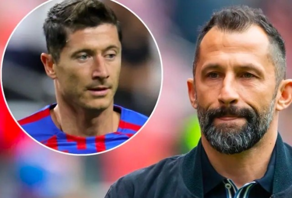 马刺队的主 马刺队的主