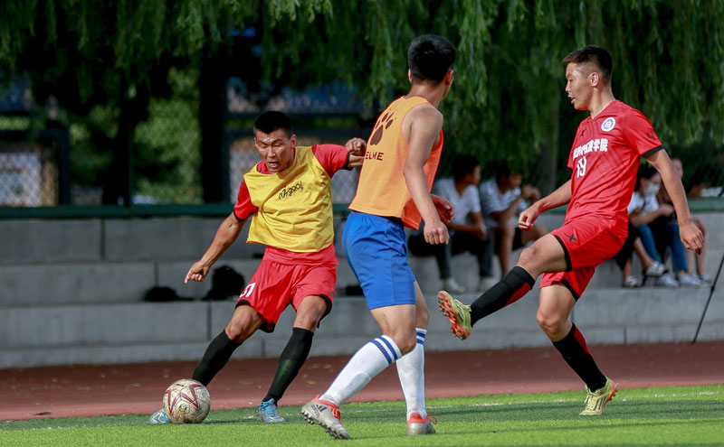 率显著下降 率显著下降